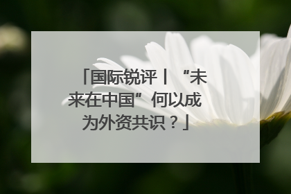 国际锐评丨“未来在中国”何以成为外资共识？