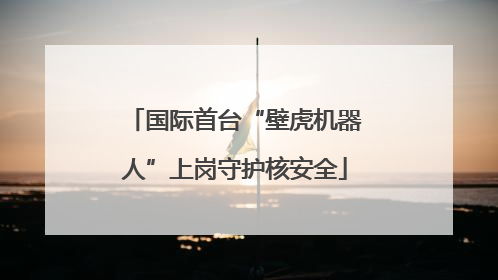 国际首台“壁虎机器人”上岗守护核安全