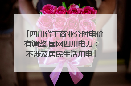 四川省工商业分时电价有调整 国网四川电力：不涉及居民生活用电