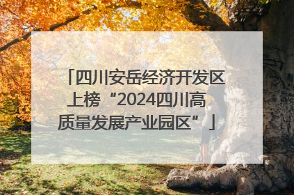 四川安岳经济开发区上榜“2024四川高质量发展产业园区”