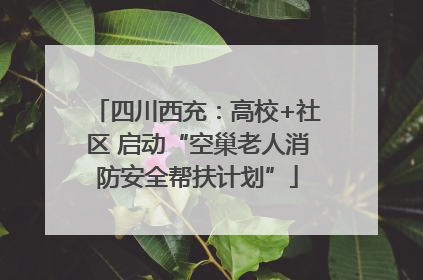 四川西充：高校+社区 启动“空巢老人消防安全帮扶计划”