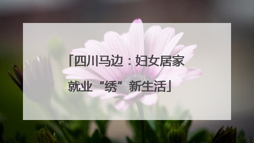 四川马边：妇女居家就业“绣”新生活