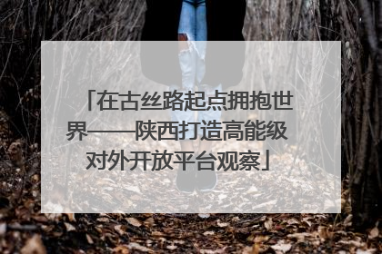 在古丝路起点拥抱世界——陕西打造高能级对外开放平台观察