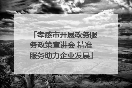 孝感市开展政务服务政策宣讲会 精准服务助力企业发展