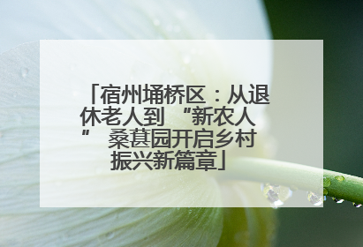 宿州埇桥区：从退休老人到 “新农人” 桑葚园开启乡村振兴新篇章