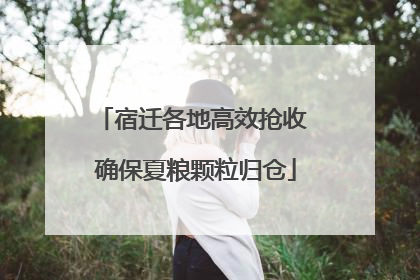 宿迁各地高效抢收 确保夏粮颗粒归仓