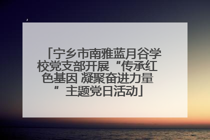 宁乡市南雅蓝月谷学校党支部开展“传承红色基因 凝聚奋进力量”主题党日活动