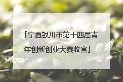 宁夏银川市第十四届青年创新创业大赛收官