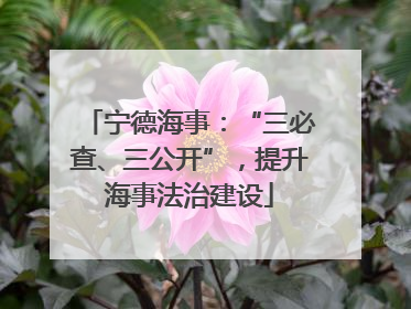 宁德海事：“三必查、三公开”，提升海事法治建设