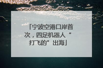 宁波空港口岸首次，四足机器人“打飞的”出海