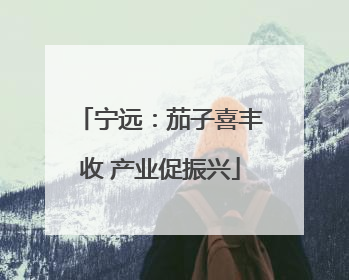 宁远：茄子喜丰收 产业促振兴