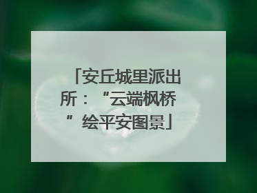安丘城里派出所：“云端枫桥”绘平安图景