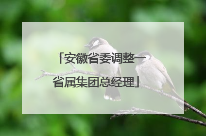 安徽省委调整一省属集团总经理