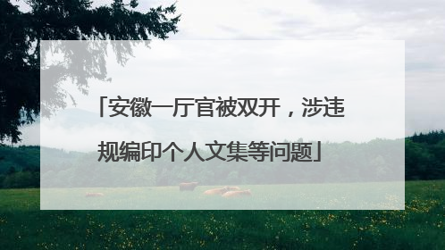 安徽一厅官被双开，涉违规编印个人文集等问题