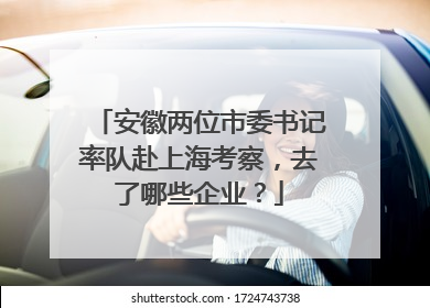 安徽两位市委书记率队赴上海考察，去了哪些企业？