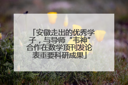 安徽走出的优秀学子，与导师“韦神”合作在数学顶刊发论表重要科研成果