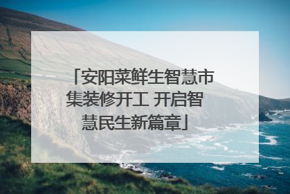 安阳菜鲜生智慧市集装修开工 开启智慧民生新篇章