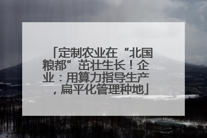 定制农业在“北国粮都”茁壮生长！企业：用算力指导生产，扁平化管理种地