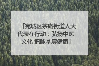宛城区茶庵街道人大代表在行动：弘扬中医文化 把脉基层健康