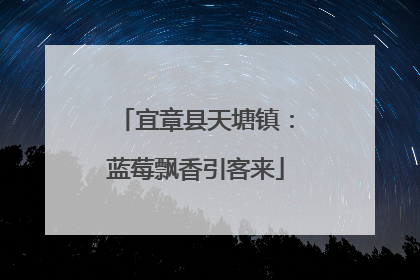 宜章县天塘镇：蓝莓飘香引客来