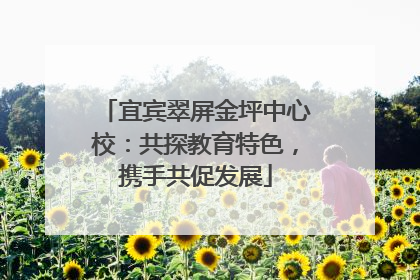 宜宾翠屏金坪中心校：共探教育特色，携手共促发展