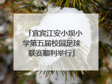 宜宾江安小坝小学第五届校园足球联赛顺利举行