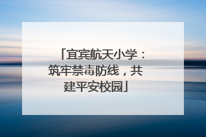 宜宾航天小学：筑牢禁毒防线，共建平安校园