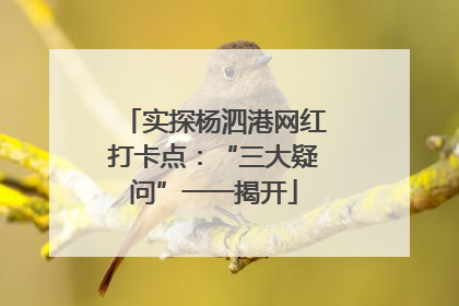 实探杨泗港网红打卡点：“三大疑问”一一揭开