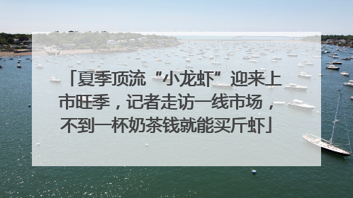 夏季顶流“小龙虾”迎来上市旺季，记者走访一线市场，不到一杯奶茶钱就能买斤虾