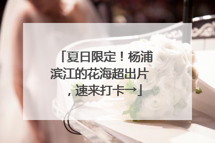 夏日限定！杨浦滨江的花海超出片，速来打卡→