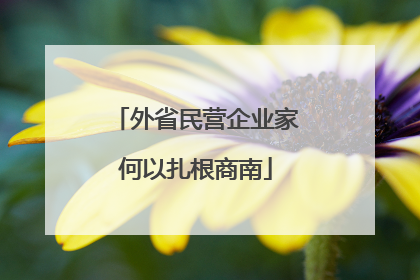 外省民营企业家何以扎根商南