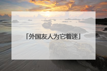 外国友人为它着迷