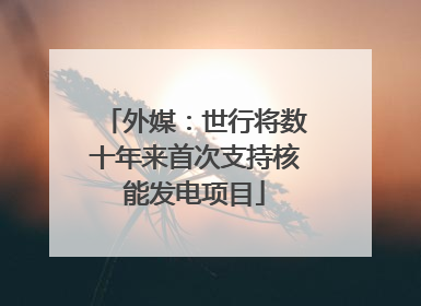 外媒：世行将数十年来首次支持核能发电项目