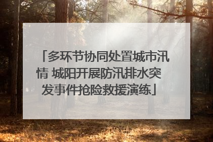 多环节协同处置城市汛情 城阳开展防汛排水突发事件抢险救援演练