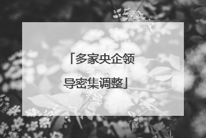 多家央企领导密集调整