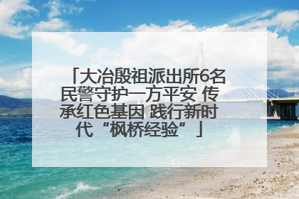 大冶殷祖派出所6名民警守护一方平安 传承红色基因 践行新时代“枫桥经验”