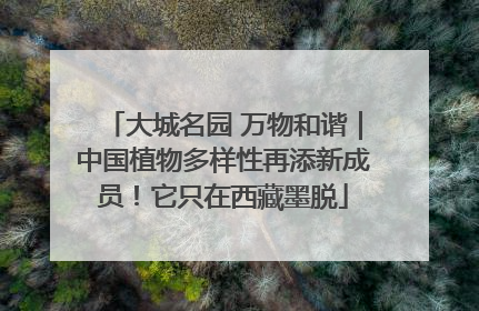 大城名园 万物和谐｜中国植物多样性再添新成员！它只在西藏墨脱