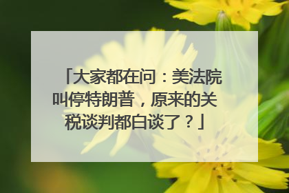 大家都在问：美法院叫停特朗普，原来的关税谈判都白谈了？