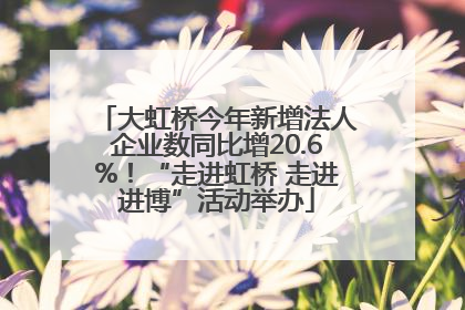 大虹桥今年新增法人企业数同比增20.6%！“走进虹桥 走进进博”活动举办