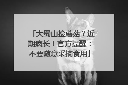 大蜀山捡蘑菇？近期疯长！官方提醒：不要随意采摘食用