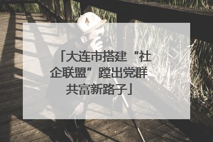 大连市搭建“社企联盟”蹚出党群共富新路子