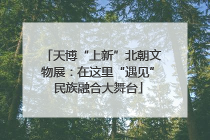 天博“上新”北朝文物展：在这里“遇见”民族融合大舞台