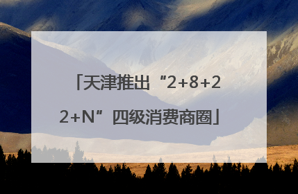 天津推出“2+8+22+N”四级消费商圈