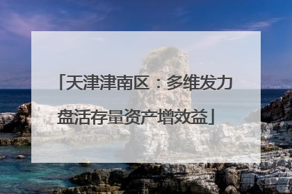 天津津南区：多维发力盘活存量资产增效益