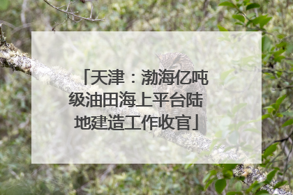 天津：渤海亿吨级油田海上平台陆地建造工作收官