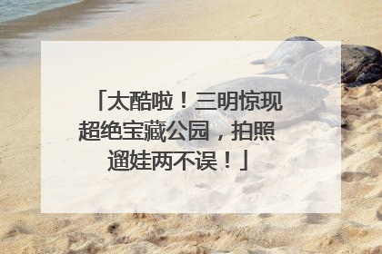 太酷啦！三明惊现超绝宝藏公园，拍照遛娃两不误！