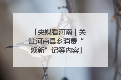 央媒看河南｜关注河南县乡消费“焕新”记等内容