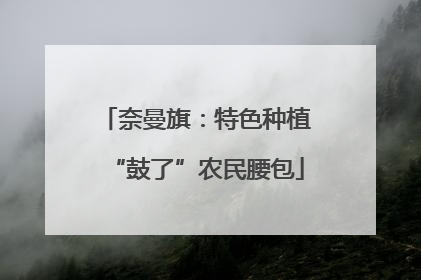 奈曼旗：特色种植“鼓了”农民腰包