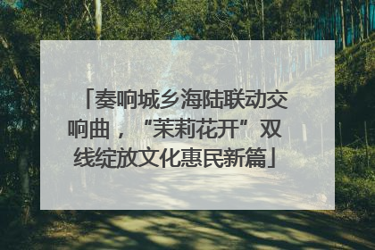 奏响城乡海陆联动交响曲，“茉莉花开”双线绽放文化惠民新篇