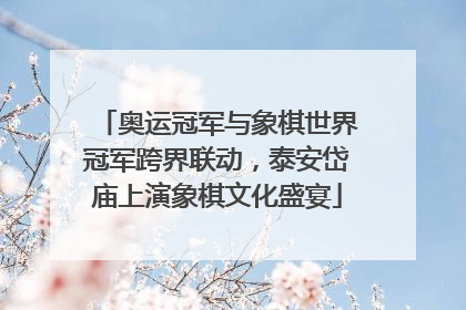 奥运冠军与象棋世界冠军跨界联动，泰安岱庙上演象棋文化盛宴